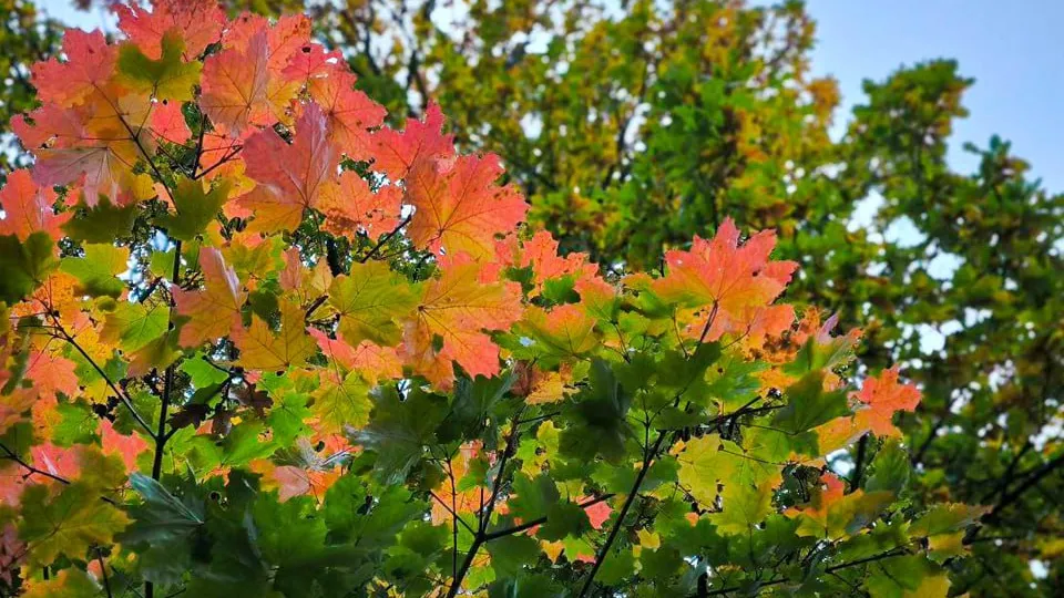 Фото: REGIONS/Роман Малышенко