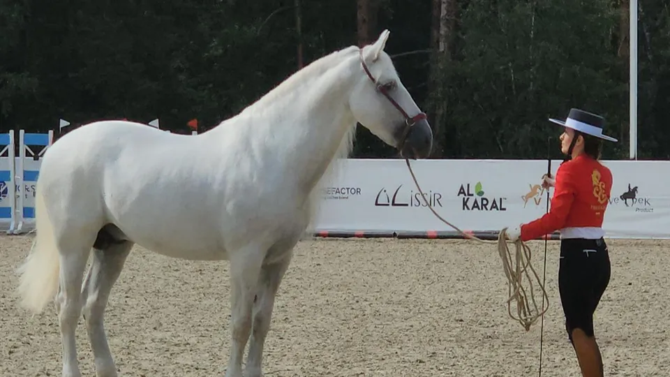 Фото: Ксения Пашуто