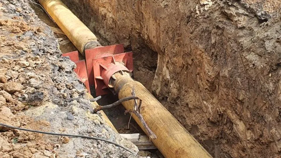 Фото: МедиаБанк Подмосковья/Наталья Надточая