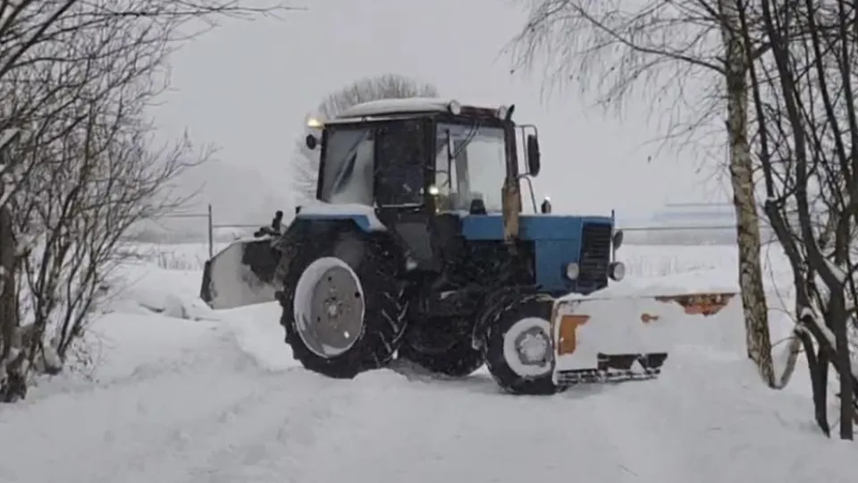 Фото: МедиаБанк Подмосковья/Ирина Кузова
