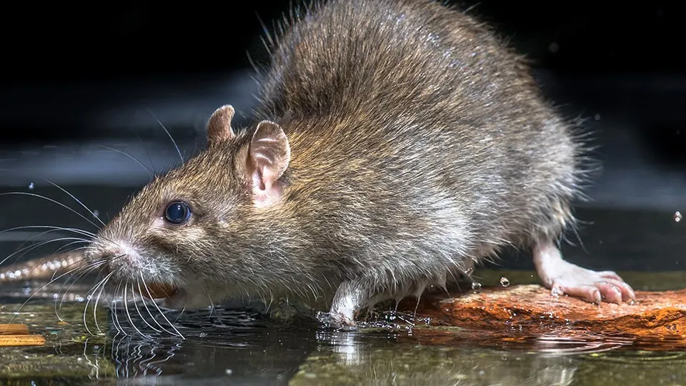 Фото: istockphoto.com