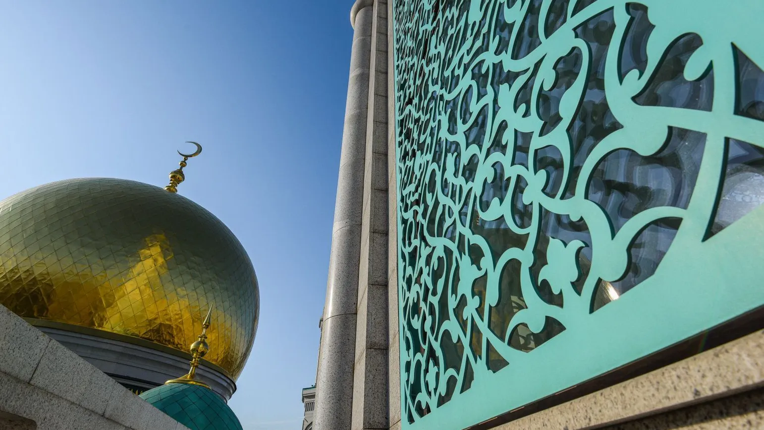 © Медиасток Подмосковья