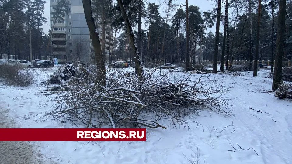 Фото предоставлено жителем Жуковского