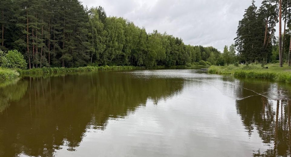 Русловый пруд расчистили на реке Серебрянке в Пушкино