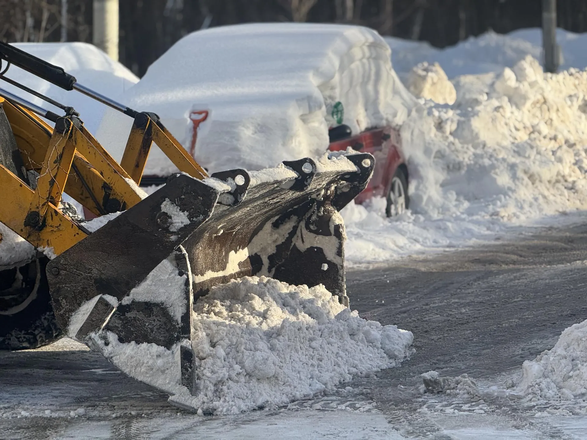 Полина Абраменко