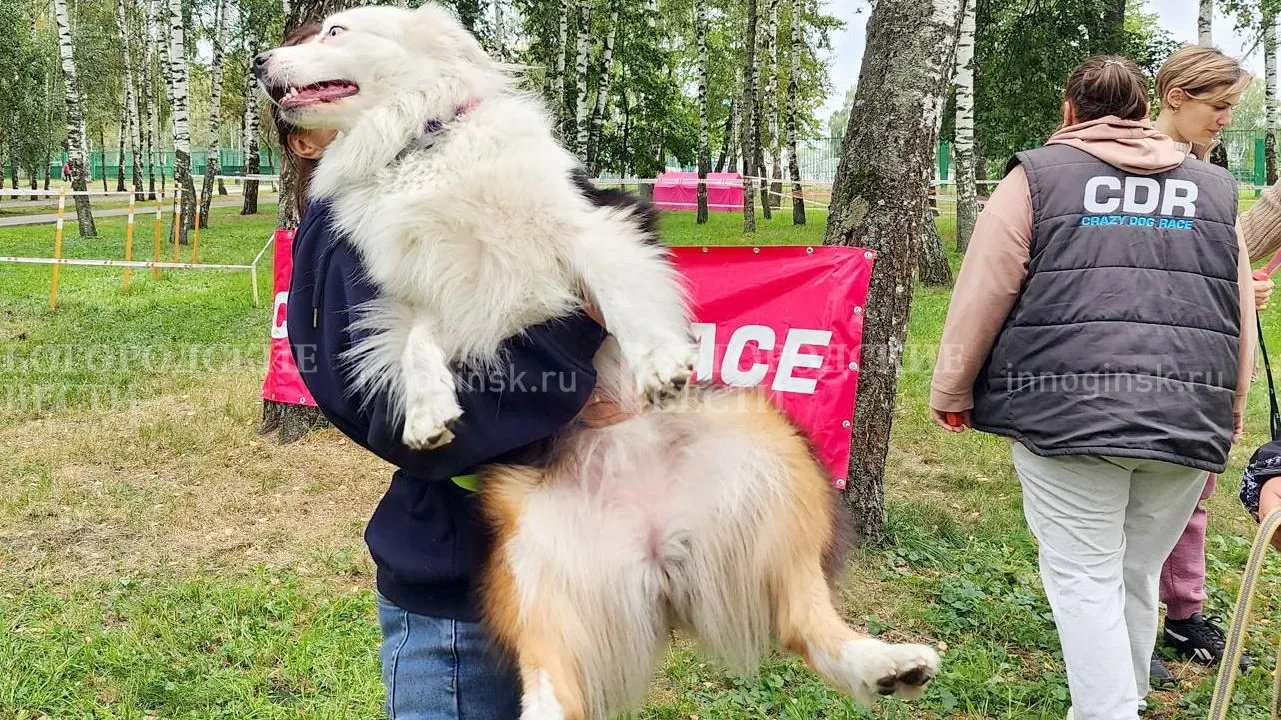 Фото: Ксения Пашуто