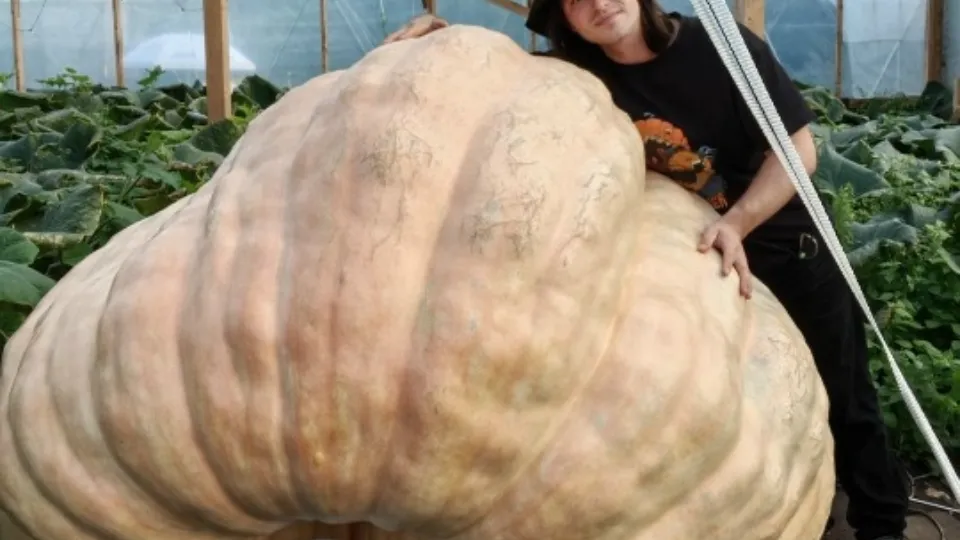 Фото: из личного архива Александра Чусова