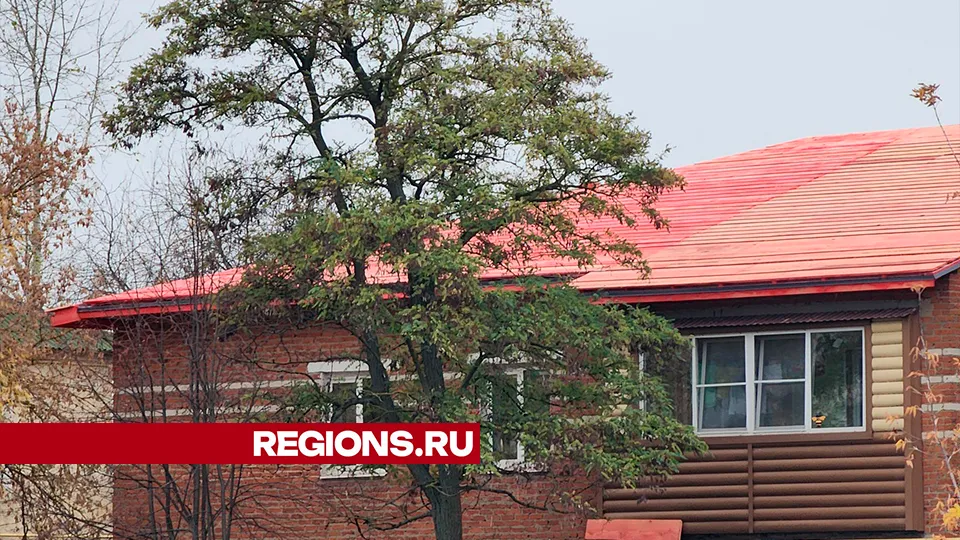 Фото: Марина Анисимова