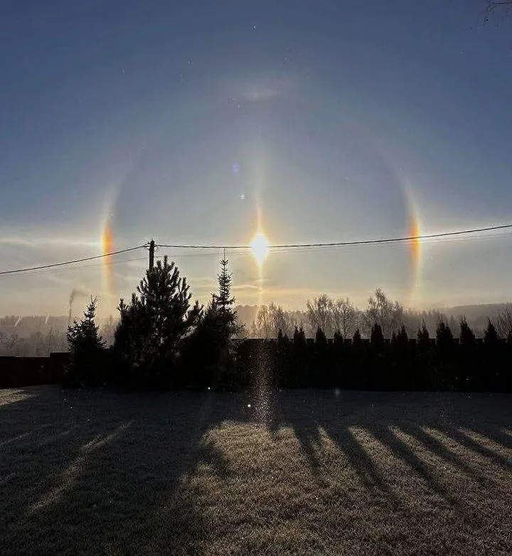 Фото из соцсетей