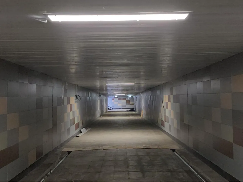 Фото: МедиаБанк Подмосковья/Наталья Лымарь