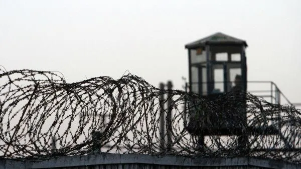 До 6 лет тюрьмы грозит предприимчивому инструктору автошколы в Люберцах