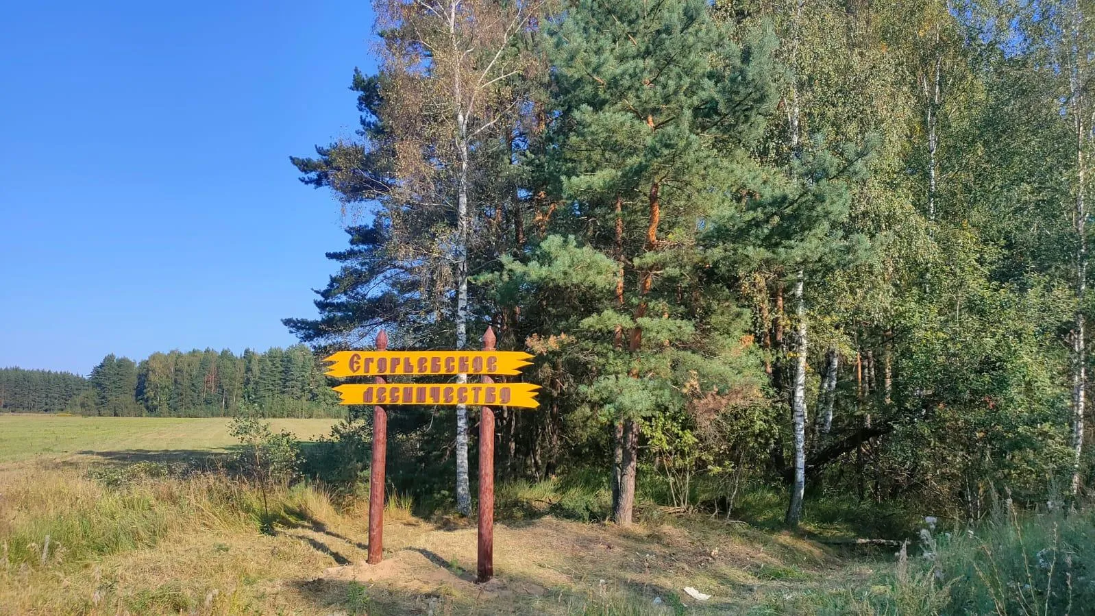 Комитет лесного хозяйства Московской области