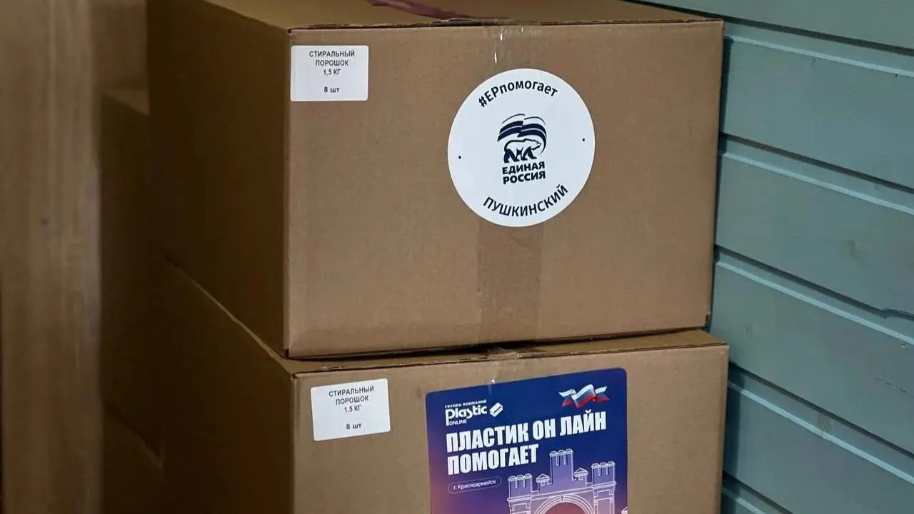 REGIONS/Екатерина Мелкозерова