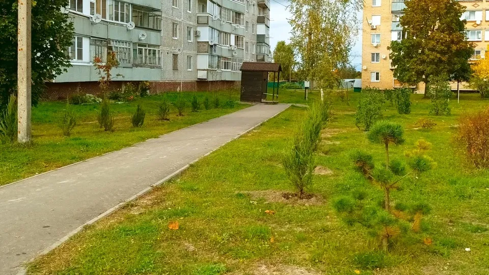 Фото: из архива Дмитрия Травкина