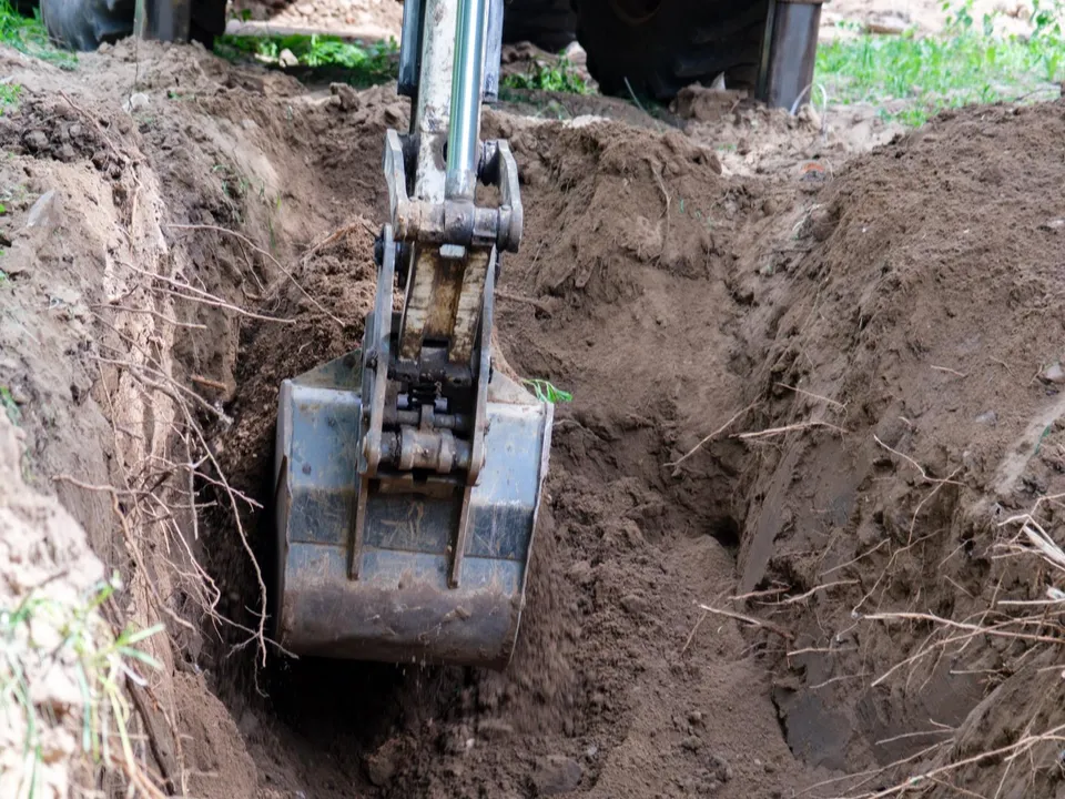 Фото: Владимир Думчев&nbsp;