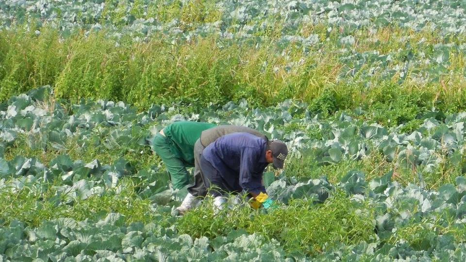 Фото: медиасток.рф