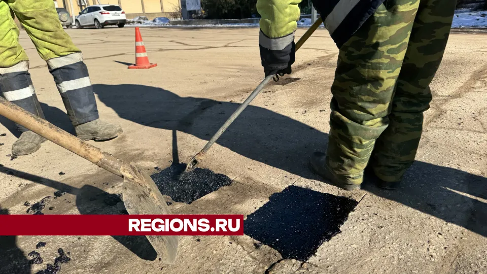 Фото: МедиаБанк Подмосковья/Татьяна Рунова