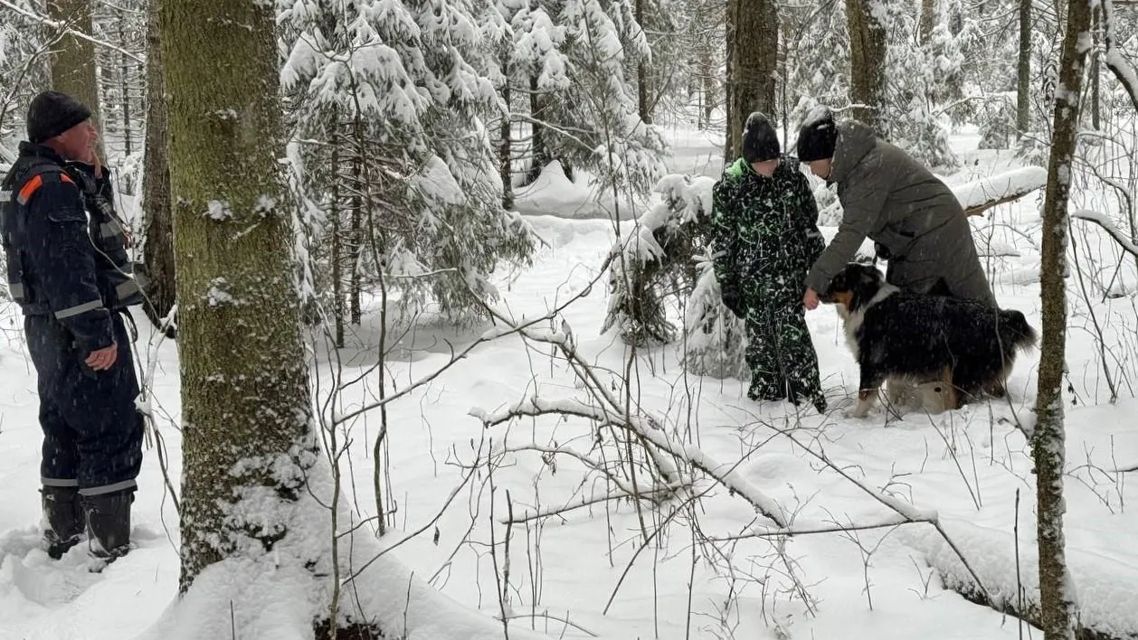 Фото: ГКУ МО «Мособлпожспас»