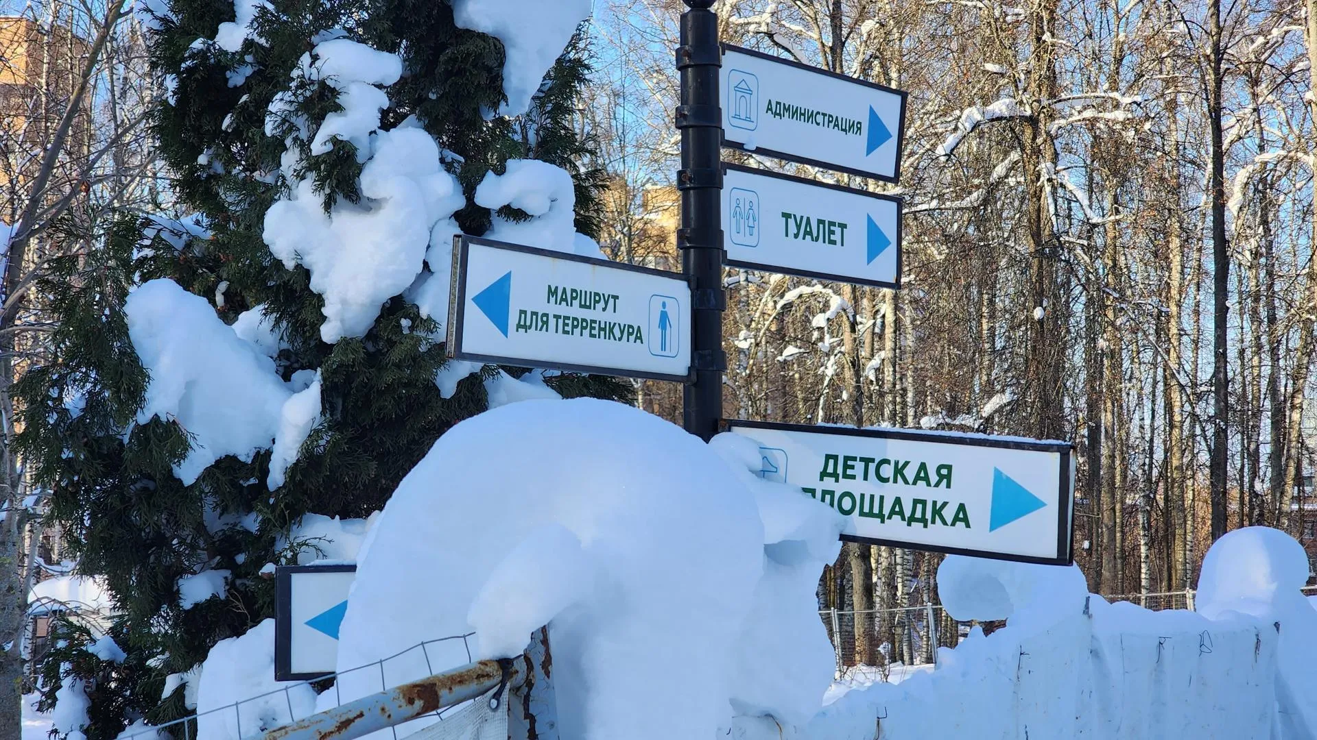 REGIONS/Евгений Рой