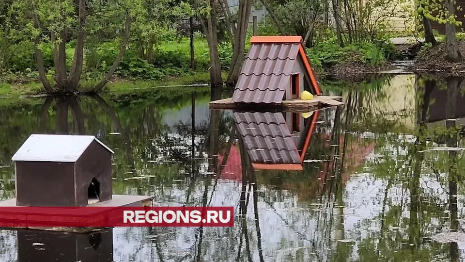 Фото: Никита Сморкалов