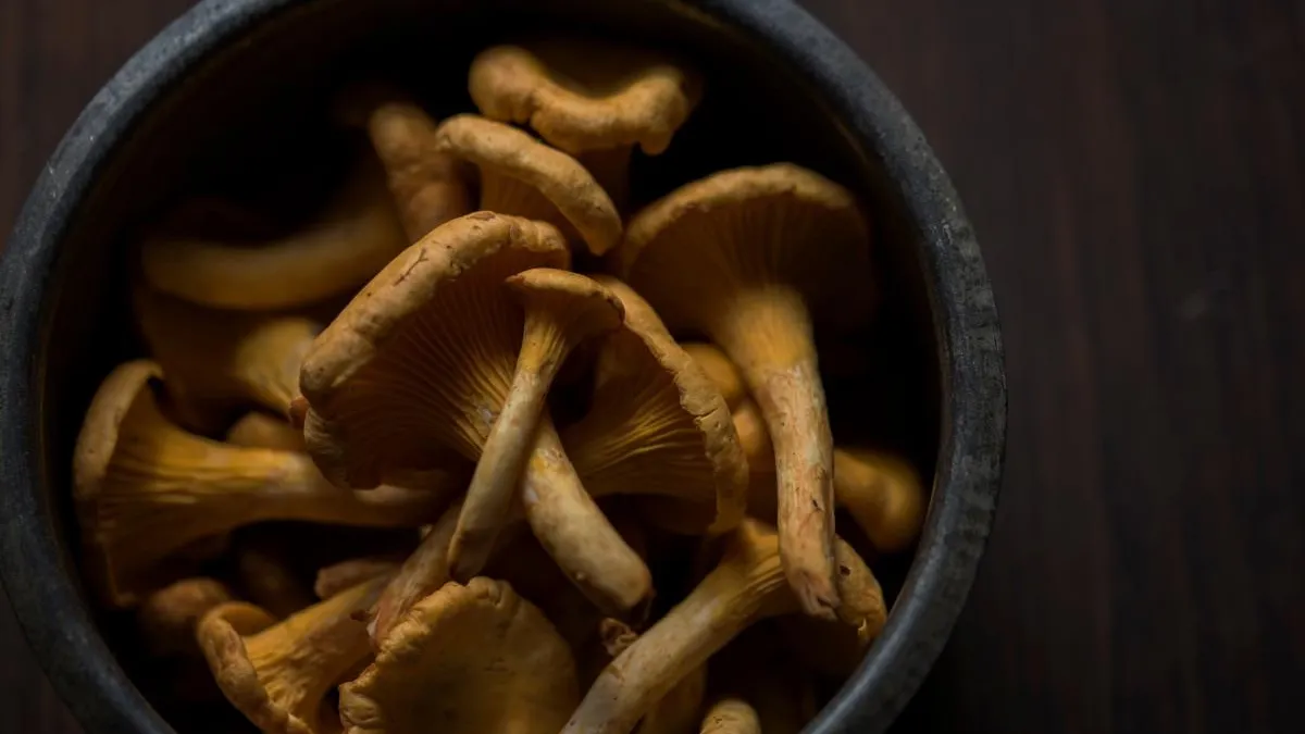 Фото: pxhere.com