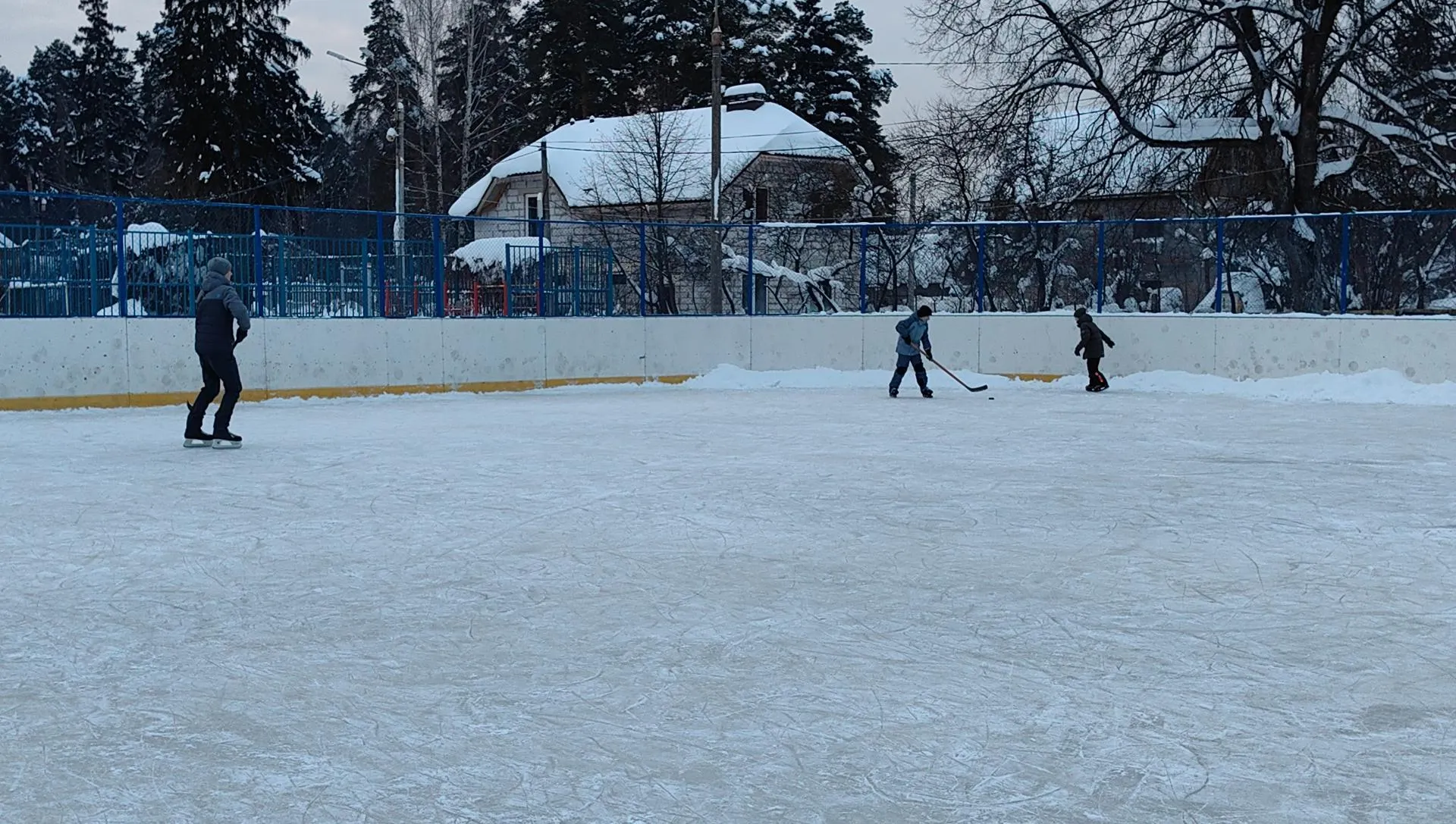 Елена Катасонова