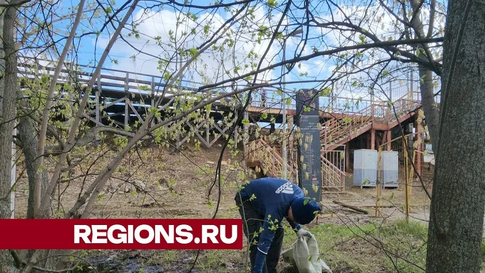 Фото: Юлия Смагринская