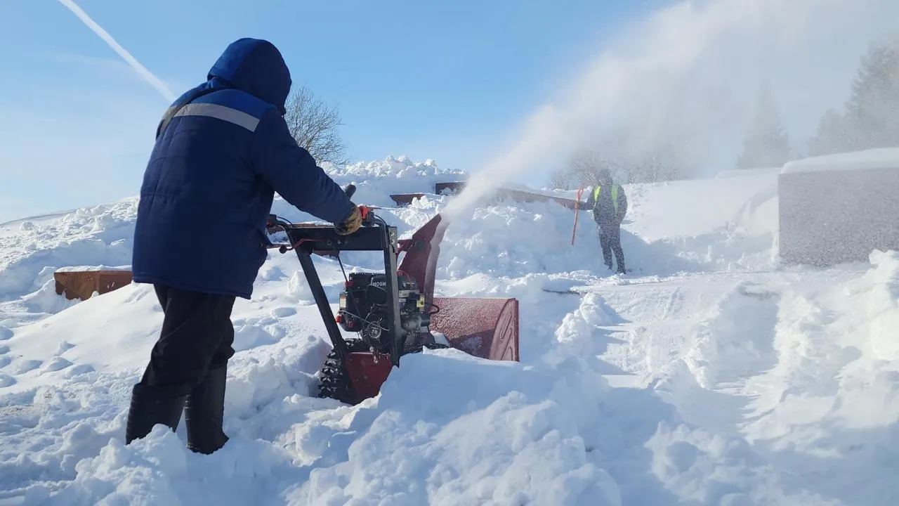 МедиаБанк Подмосковья/Дмитрий Беденко