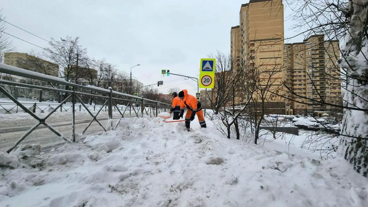 МедиаБанк Подмосковья/Валерия Исаева