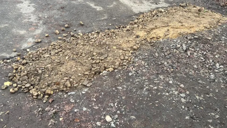 Фото: Администрация городского округа Шаховская