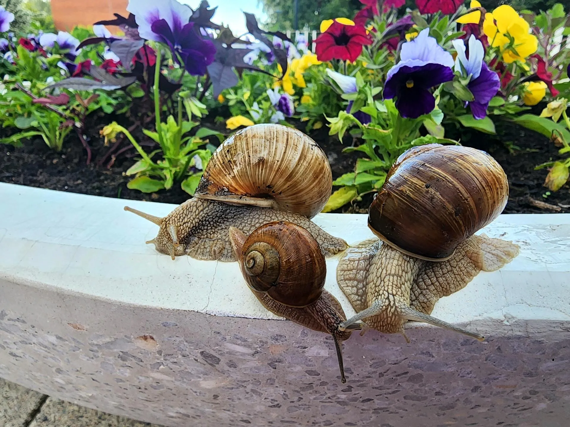 Фото: Мария Панина