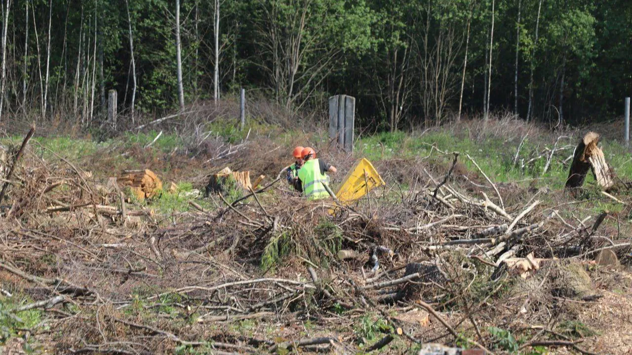 фото: администрация Краснознаменска