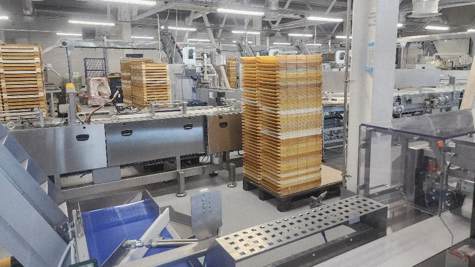 Фото: МедиаБанк Подмосковья/Юлия Андросова