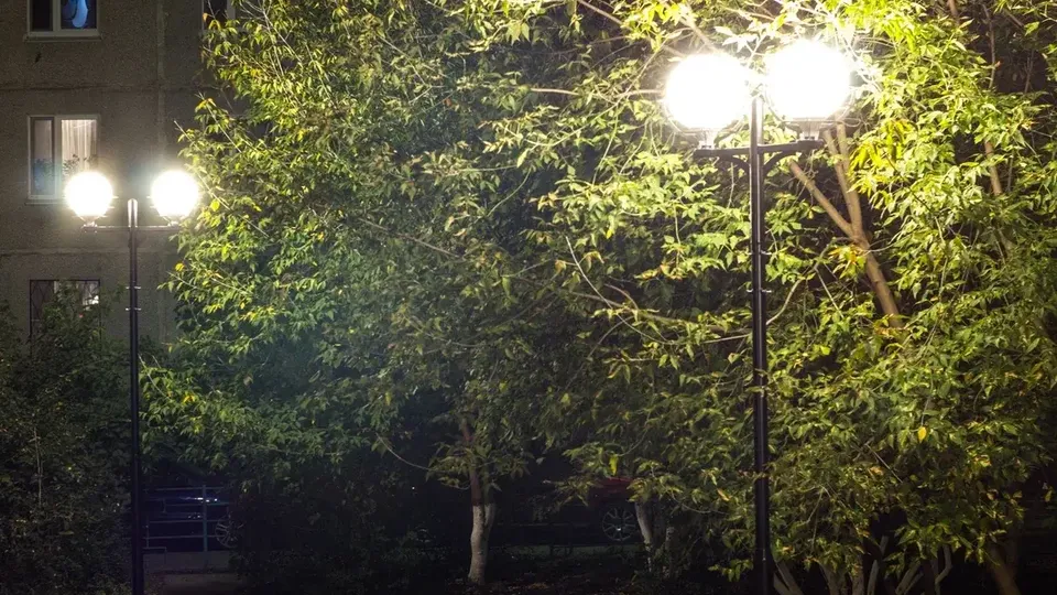 Фото: Министерство благоустройства Московской области