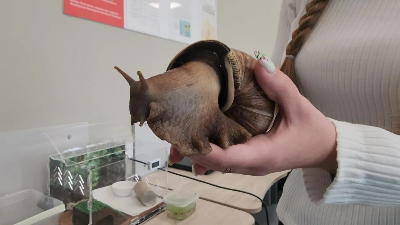 REGIONS/Валерий Гореловский