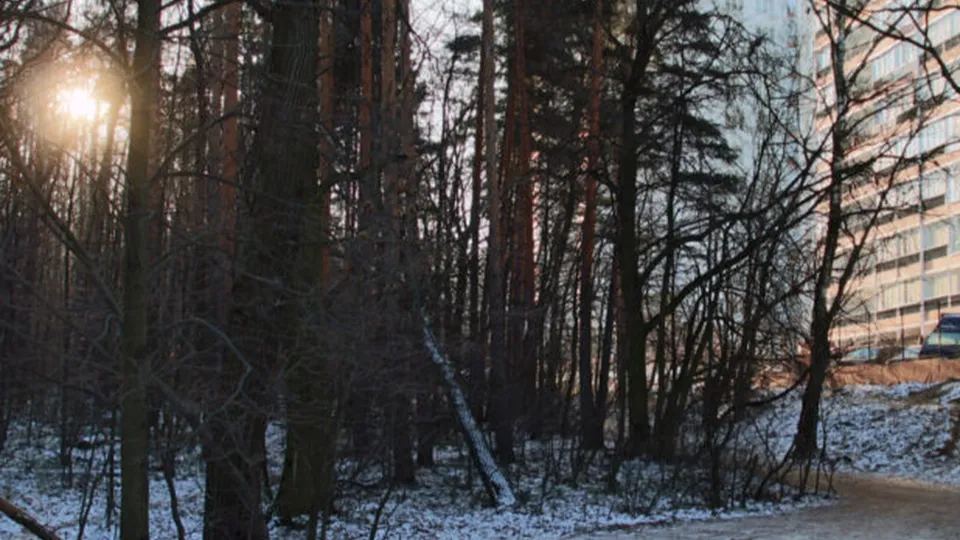 Фото: Алексей Грызлов