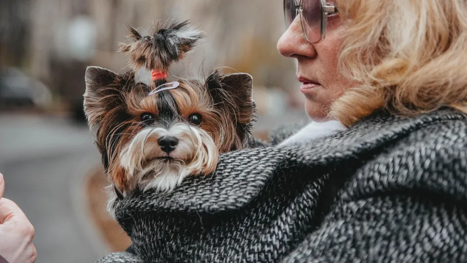 Фото: администрация г.о. Реутов