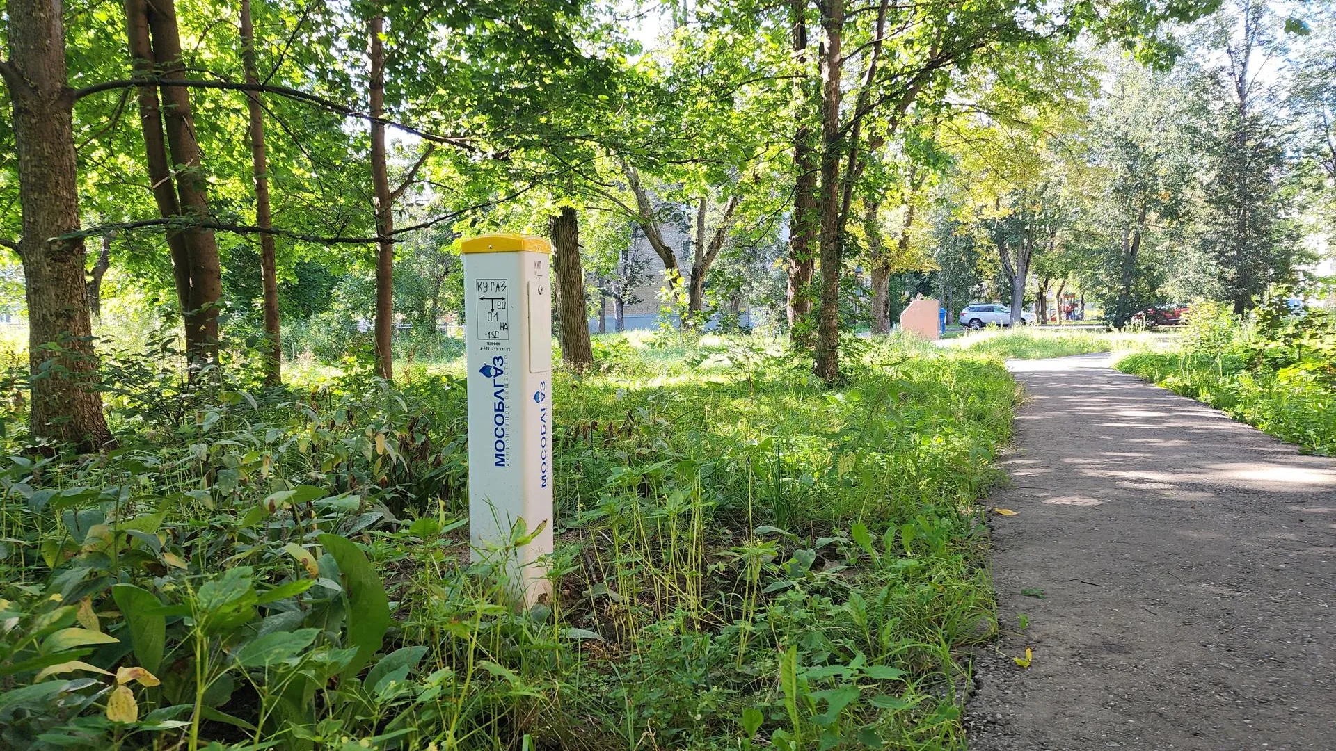 Фото: Иван Петрушин