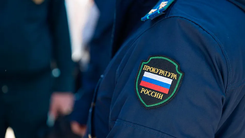Фото: пресс-служба прокуратуры Московской области