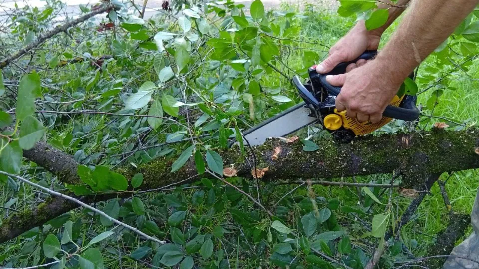 Фото: Министерство по содержанию территорий и государственному жилищному надзору МО