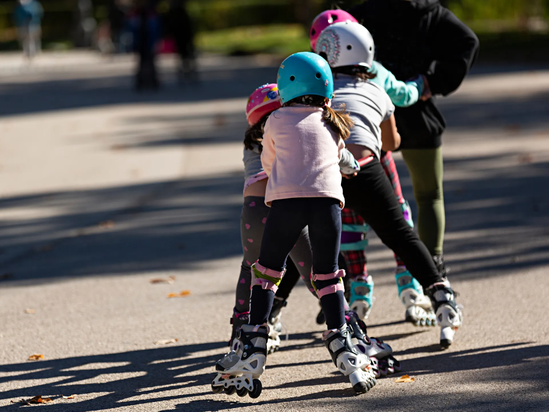 Фото: stock.adobe.com