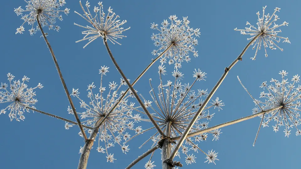 Фото: РИА Новости/Алексей Куденко