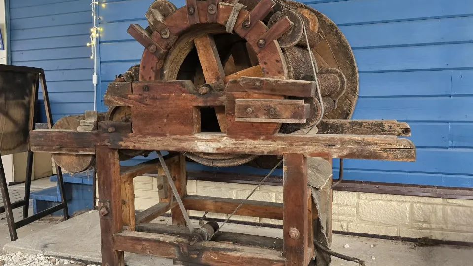 Фото: МедиаБанк Подмосковья/Марина Анисимова