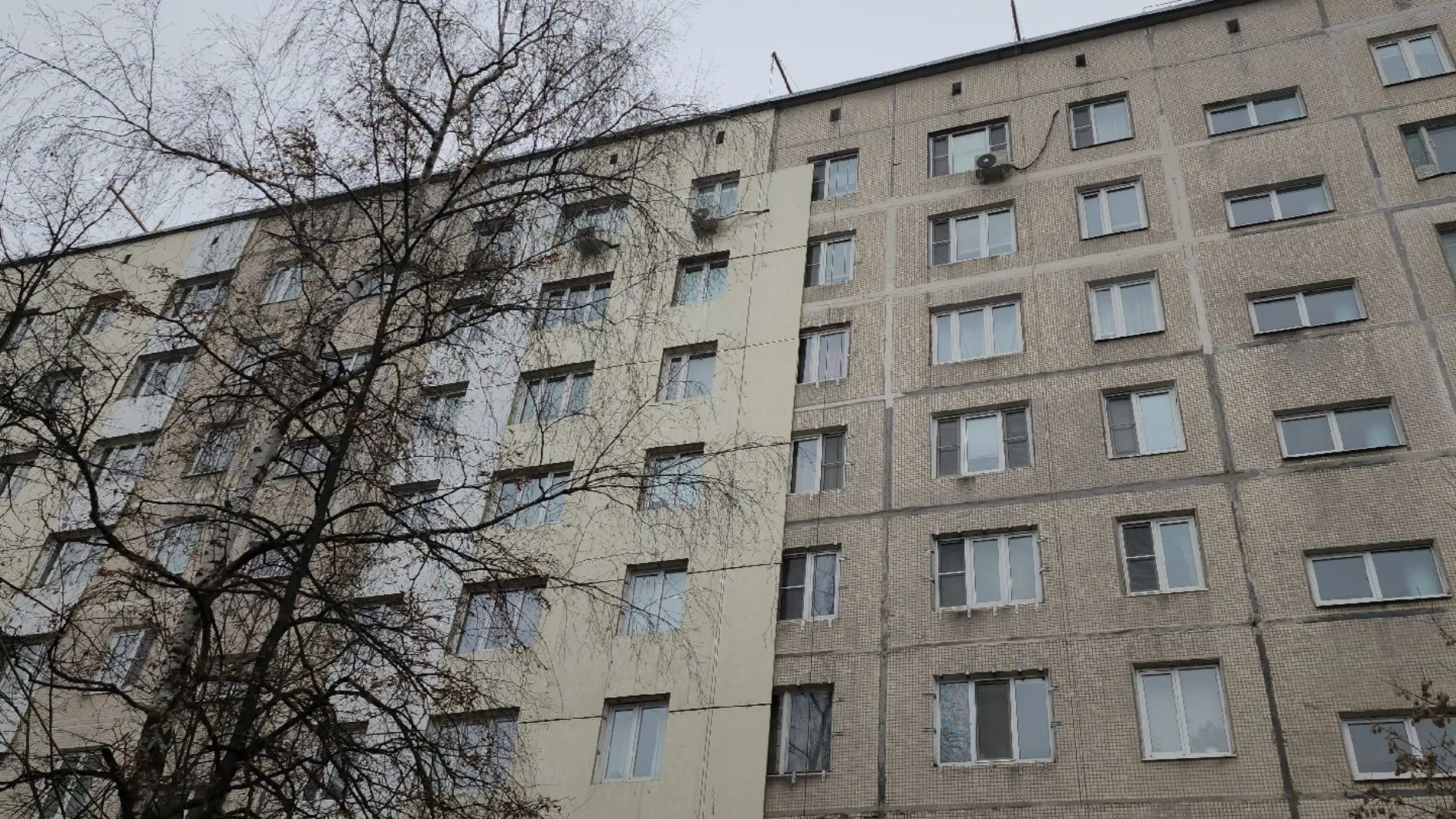 Фото: МедиаБанк Подмосковья/Роман Кутузов