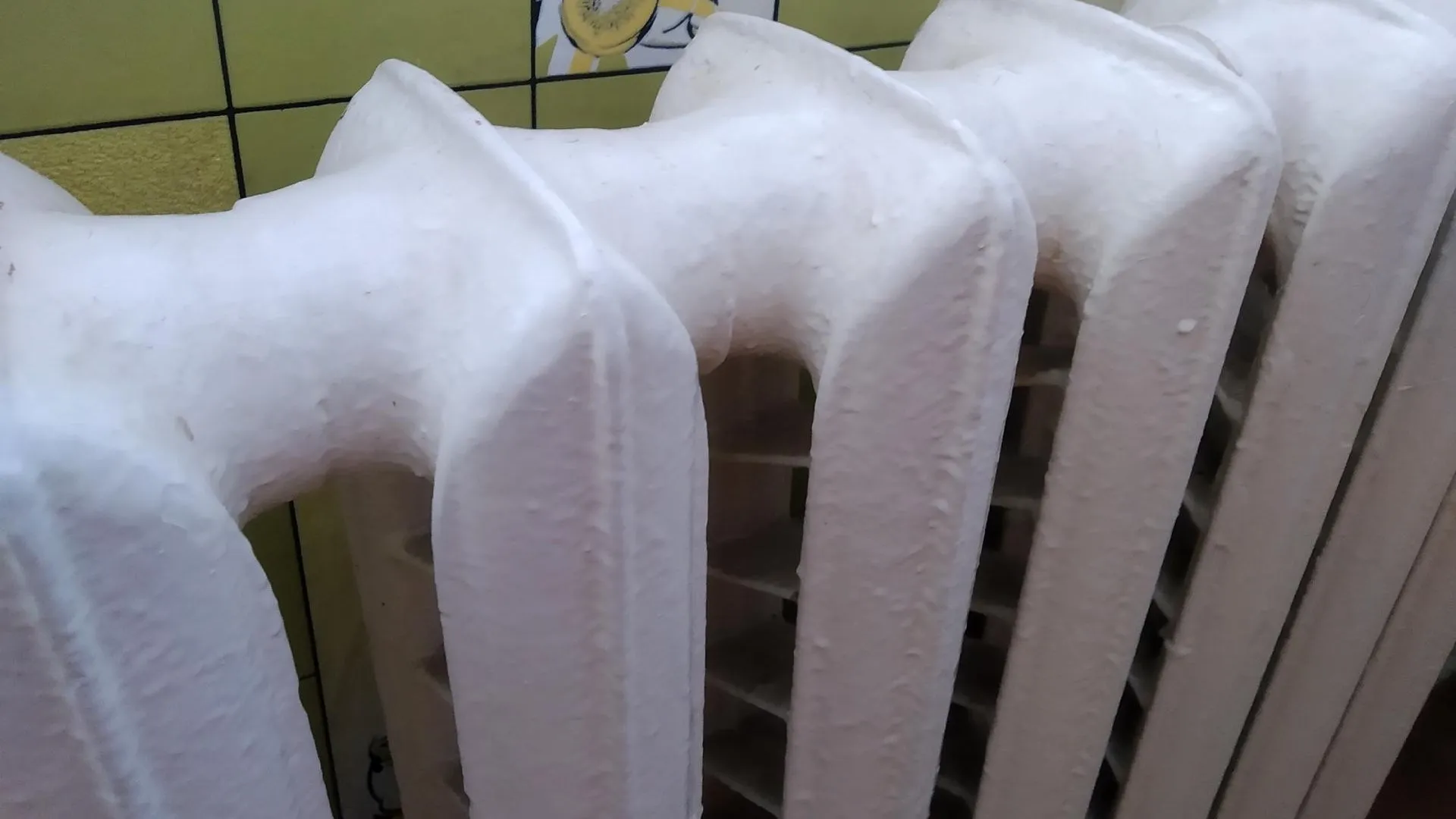 Фото: Татьяна Синельникова