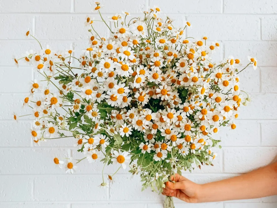 Фото: unsplash.com/