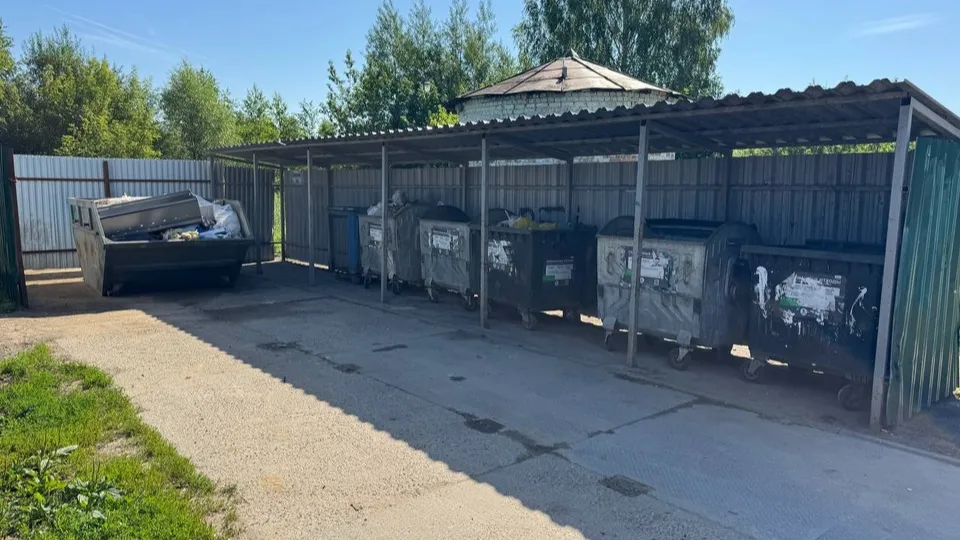 Фото: администрация Орехово-Зуевского г.о.