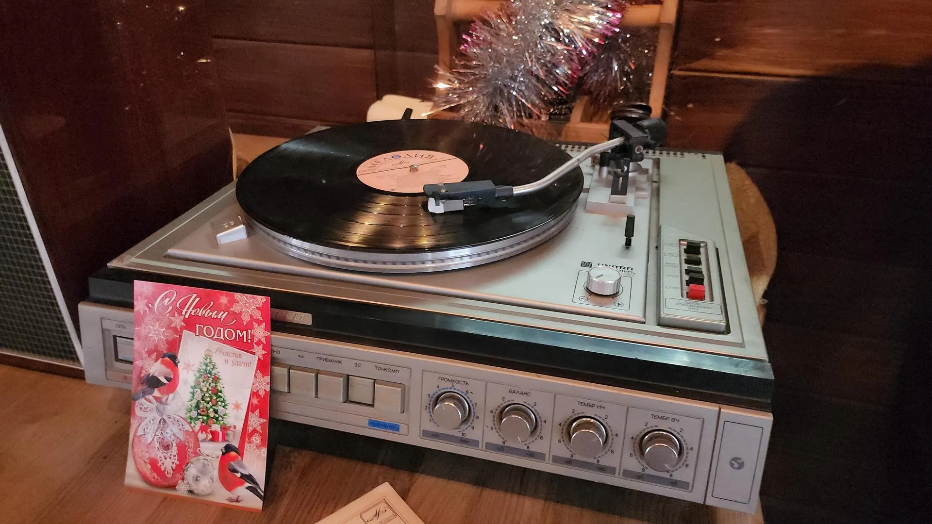 Фото: Екатерина Данилина