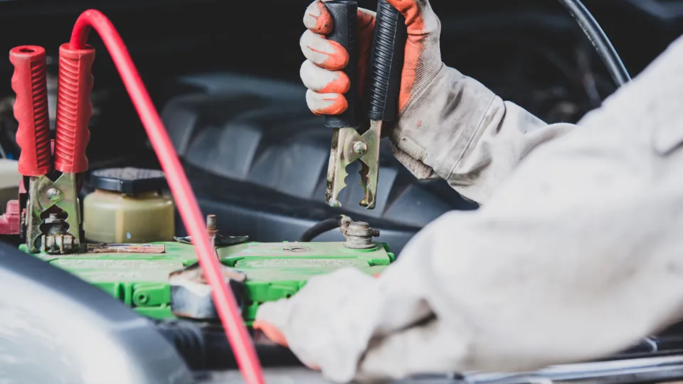 Фото: freepik.com