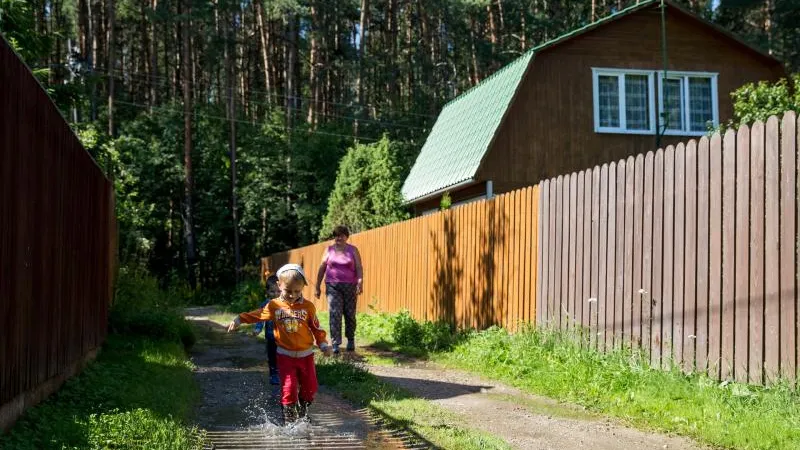 До конца 2022 года в Подмосковье узаконят все наделы, у которых есть пересечение с землями лесного фонда